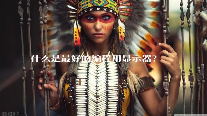 什么是最好的编程用显示器？